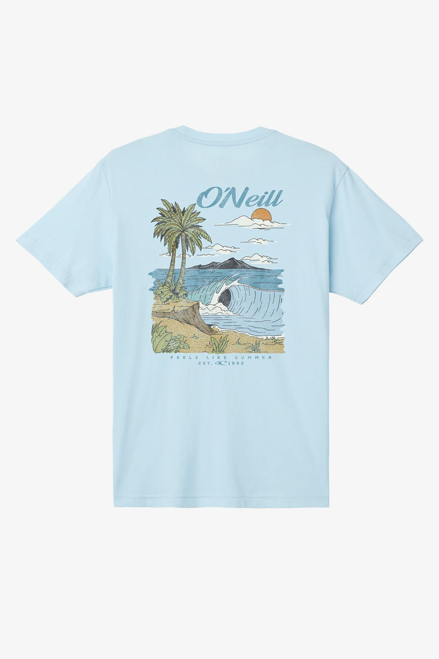 Shorebreak Standard Fit Tee